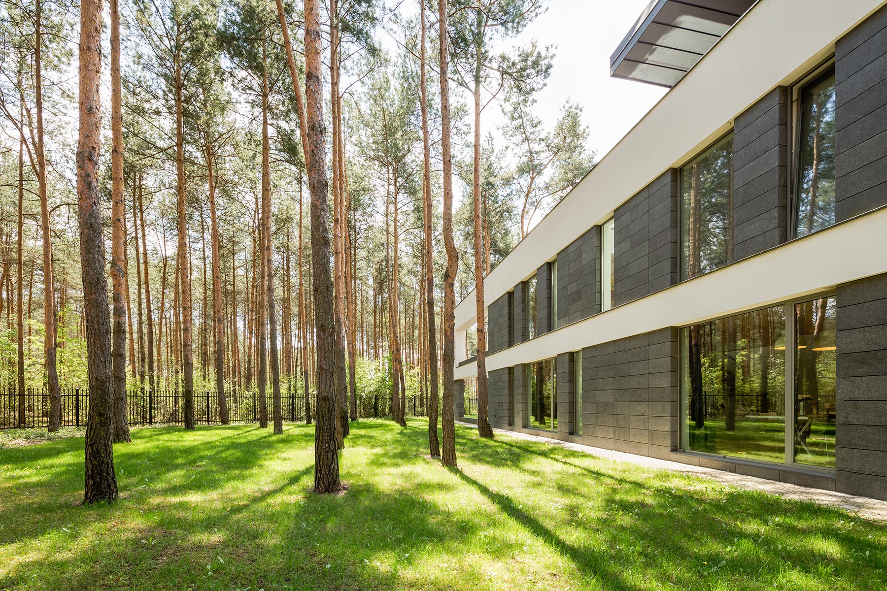 Modern House Surrounded By Trees PVRWSYN